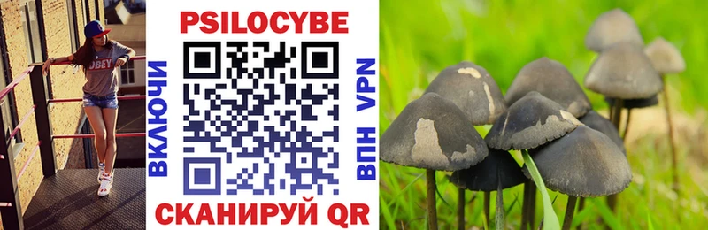Галлюциногенные грибы мухоморы  цены   Черемхово 